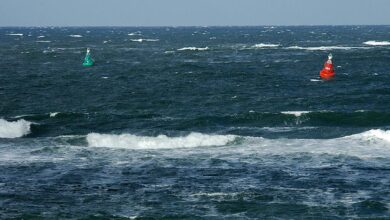 Photo of Водата во Северното Море со рекордно висока температура од 21,5 степени