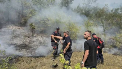 Photo of ЦУК: До 18:00 часот 14 пожари на отворен простор, од кои 8 се активни