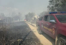 Photo of Лице палело гуми во двор, пожарот се проширил во шумата кај Бигла