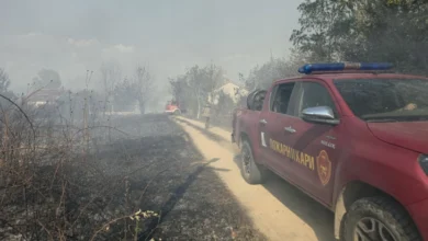 Photo of Лице палело гуми во двор, пожарот се проширил во шумата кај Бигла