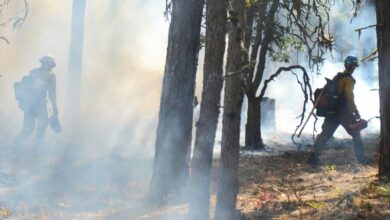 Photo of ЦУК со пресек до 13 часот: Активни пожари во Аеродром, Илинден, Босилово, Крива Паланка и Гостивар