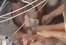 Photo of (ВИДЕО) Го слушнале плачот под урнатините: Спасувачите извлекоа живо бебе по земјотресот во Колумбија