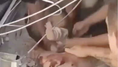 Photo of (ВИДЕО) Го слушнале плачот под урнатините: Спасувачите извлекоа живо бебе по земјотресот во Колумбија