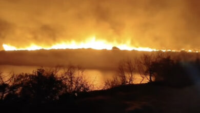 Photo of (Видео) Голем пожар беснее на Дуги Оток: 100 пожарникари се борат со огнот, пристигна воздушна поддршка