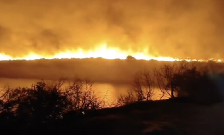 Photo of (Видео) Голем пожар беснее на Дуги Оток: 100 пожарникари се борат со огнот, пристигна воздушна поддршка