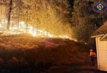 Photo of Пожарите во Вашингтон уништија повеќе од 700 објекти, евакуирани се 64.000 луѓе