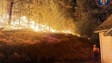 Photo of Пожарите во Вашингтон уништија повеќе од 700 објекти, евакуирани се 64.000 луѓе