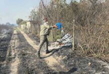 Photo of (ВИДЕО) Ер трактор се вклучи во гаснењето на пожарот кај Струмица, навреме е спречена катастрофа