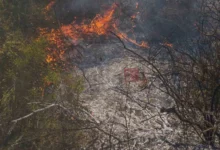 Photo of Голем пожар избувна на депонијата „Мелци“ кај Кавадарци