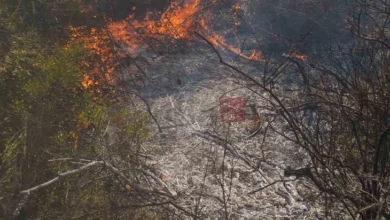 Photo of Голем пожар избувна на депонијата „Мелци“ кај Кавадарци