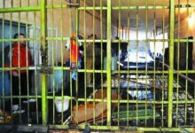 Photo of Почина затвореник: Се качил на бандера и фатил жица под напон