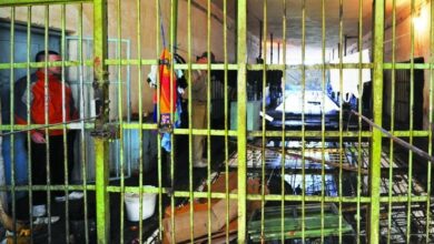 Photo of Почина затвореник: Се качил на бандера и фатил жица под напон