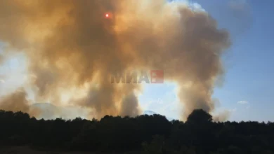 Photo of Пожарот во Лакавичкиот регион се движи во насоки кон викендици и планината Серта