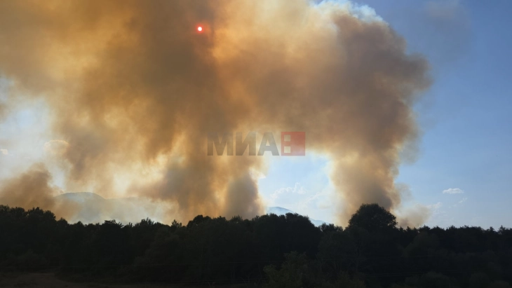 Пожарот во Лакавичкиот регион се движи во насоки кон викендици и планината Серта