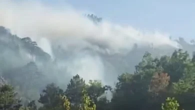 Photo of Критична состојба со пожарите во подрачјето на Улз, кај Мат, наредена евакуација