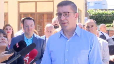 Photo of Мицкоски: Западнонилската треска годинава е натпросечен предизвик низ цела Европа