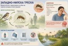 Photo of ИЈЗ: Досега 58 заболени од западно-нилска треска, осум починати – сите се мажи