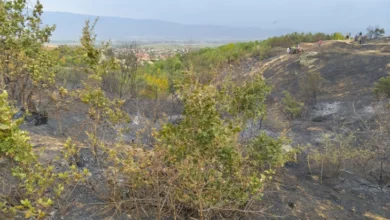 Photo of Струмичките пожарникари вчера изгаснаа два големи пожари, едниот намерно подметнат