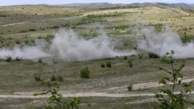 Photo of Активен пожарот кај крушевско Борино, под контрола е на Јаесен и кај село Белица