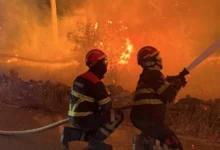 Photo of По 18 дена е изгаснат пожарот на Брач, причината сè уште се утврдува