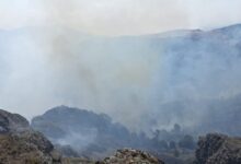 Photo of Додека се уште гори кај Стенковец, избија уште два нови пожари во Ѓорче Петров и Кондово