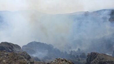 Photo of Додека се уште гори кај Стенковец, избија уште два нови пожари во Ѓорче Петров и Кондово