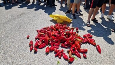 Photo of Производители на пиперки денеска на протест: Еден час ќе биде блокиран патот Прилеп – Битола