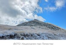 Photo of ФОТО: Падна првиот снег и во Македонија
