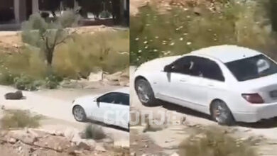 Photo of Македонката која со автомобил усмрти куче во Црна Гора е осудена на 45 дена затвор