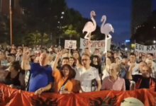 Photo of Во Тирана одржан 100-тиот протест против изградба на луксузно одморалиште во Зврнец и Сазан
