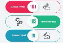 Photo of ЈП Лајка: Во август заловени 101 куче, 103 стерилизирани/кастрирани, помалку пријави, а повеќе третирани животни