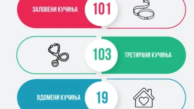 Photo of ЈП Лајка: Во август заловени 101 куче, 103 стерилизирани/кастрирани, помалку пријави, а повеќе третирани животни