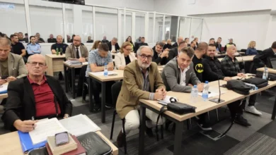 Photo of Судење за „Пулс“: Родителите реагираа на исказ на вештак на одбраната по што беа отстранети од салат