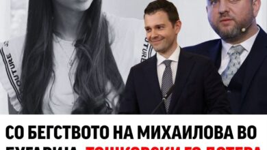 Photo of „Со бегството на Михајлова во Бугарија, Тошковски го дотера безбедносниот систем до дно“ – реагираат од Левица