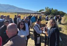 Photo of Каранфилова-Пановска од Кочанско: Состојбата кај оризопроизводителите е катастрофална, потребна е итна помош