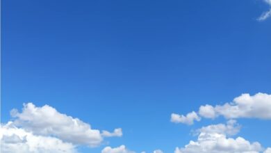 Photo of Сончево и топло до крајот на неделата – за викендот вистински пресврт
