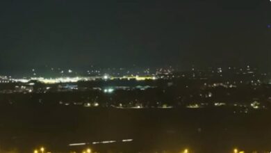 Photo of Паника на аеродромот во Минхен: забележана голема дива мачка, можно е да е пума