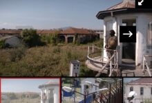 Photo of (ВИДЕО) Казна на слобода наместо во затвор – правда или привилегија
