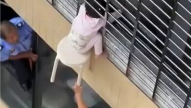Photo of (ВИДЕО) Девојче (3) висеше заглавено со главата меѓу решетки на 12ти кат