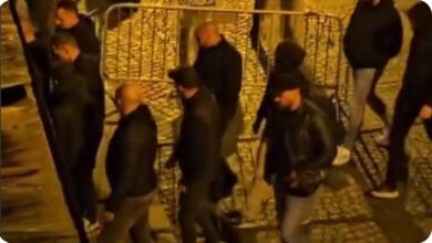 Photo of (Видео) Мажи со фантомки влегуваат во Пионерскиот парк во Белград, полицијата ги пропушта