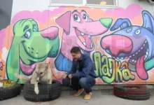 Photo of Димитровски: Имаме резултати во справувањето со бездомните кучиња, потребна континуирана стерилизација, контрола на сопственичките кучиња и спречување напуштање