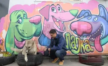 Photo of Димитровски: Имаме резултати во справувањето со бездомните кучиња, потребна континуирана стерилизација, контрола на сопственичките кучиња и спречување напуштање