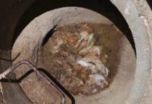 Photo of Влажни марамчиња го затнаа одводот во студентскиот „Стив Наумов“ две недели по реновирањето