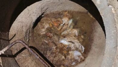 Photo of Влажни марамчиња го затнаа одводот во студентскиот „Стив Наумов“ две недели по реновирањето